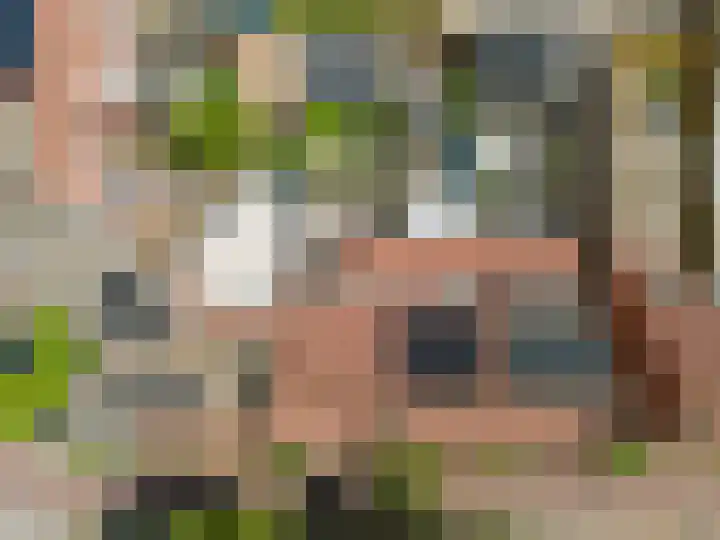 Perengaard 16 Spijkenisse thumbnail 6
