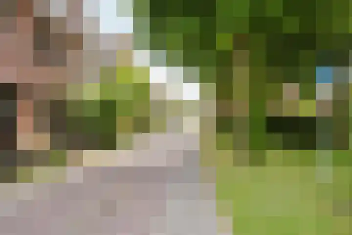 Perengaard 16 Spijkenisse thumbnail 7