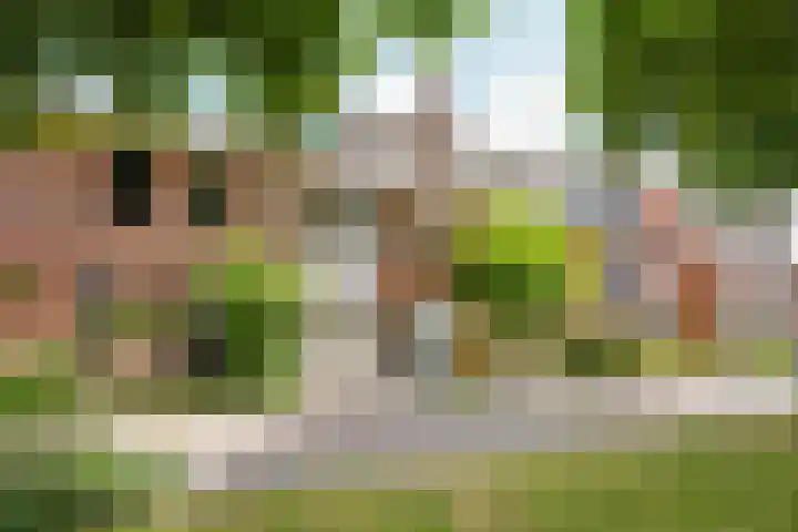 Perengaard 16 Spijkenisse thumbnail 8