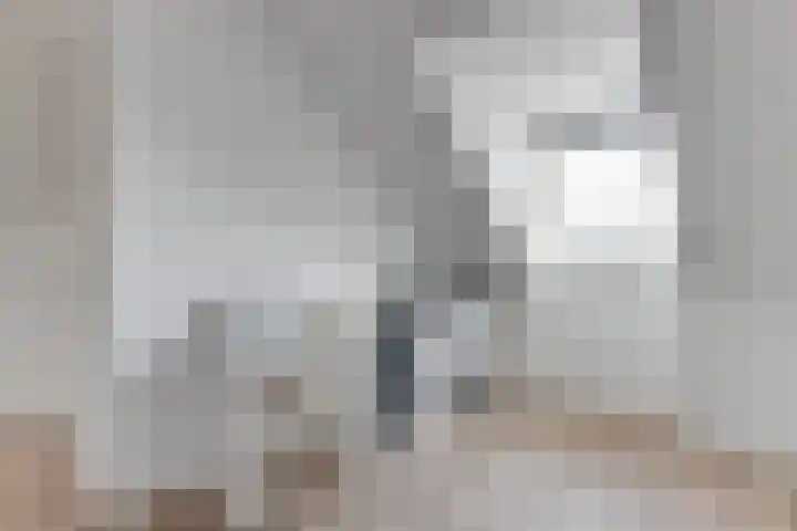 Perengaard 5 De Goorn thumbnail 30