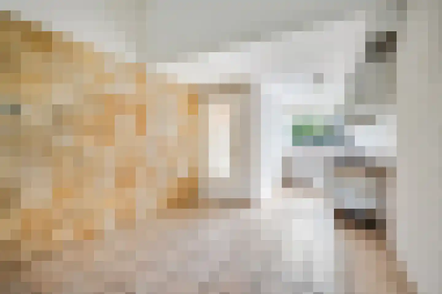 Perengaard 5 Doorn thumbnail 4