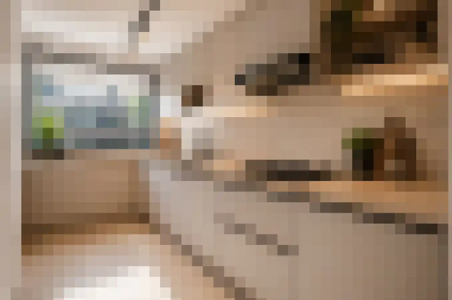 Perengaard 5 Doorn thumbnail 7
