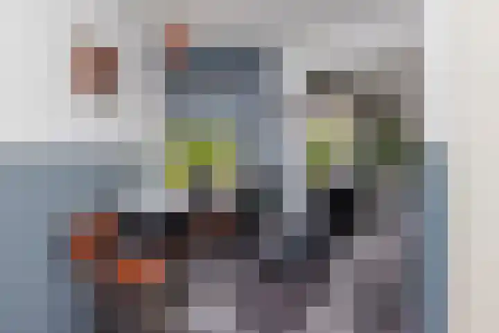 Perengaard 7 Spijkenisse thumbnail 14