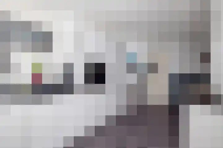 Perengaard 7 Spijkenisse thumbnail 18