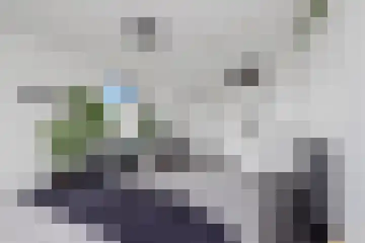 Perengaard 7 Spijkenisse thumbnail 27