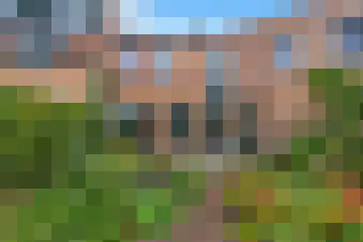 Perengaard 7 Spijkenisse thumbnail 5