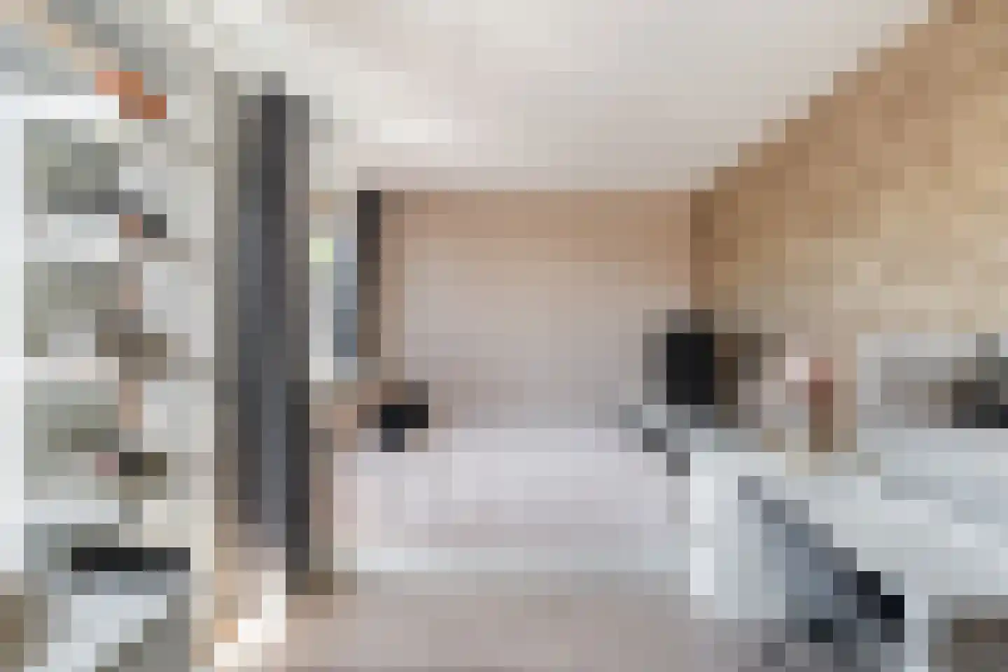 Perengaarde 19 Zoetermeer thumbnail 12