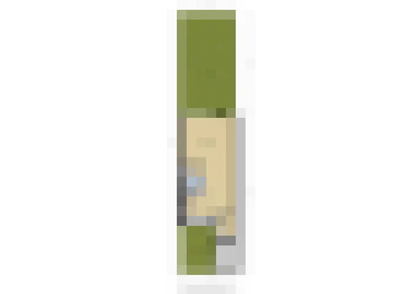 Perengaarde 19 Zoetermeer thumbnail 38
