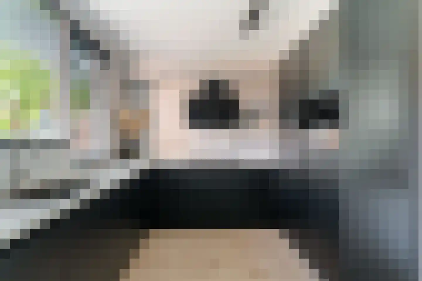 Perengaarde 19 Zoetermeer thumbnail 8