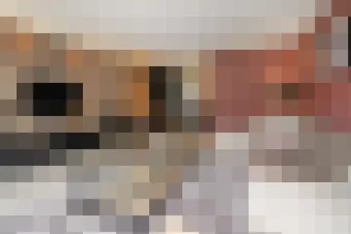 Perengaarde 2 Zoetermeer thumbnail 10