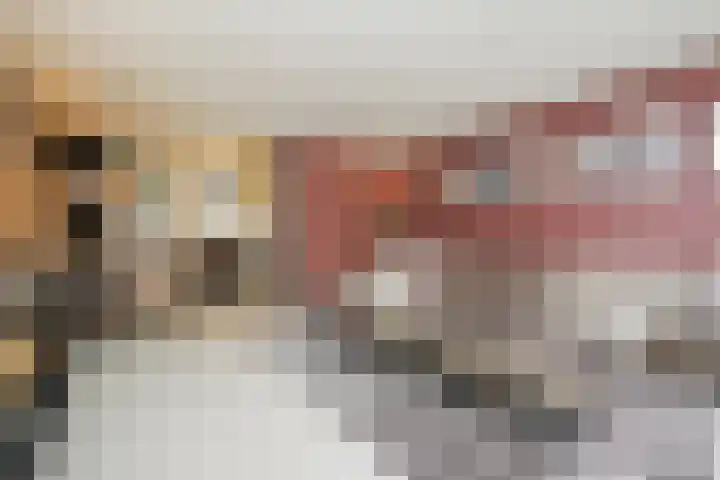 Perengaarde 2 Zoetermeer thumbnail 11