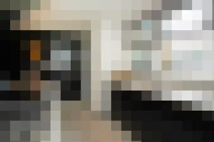 Perengaarde 2 Zoetermeer thumbnail 12