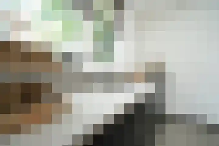 Perengaarde 2 Zoetermeer thumbnail 14