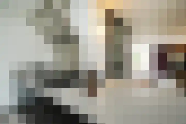 Perengaarde 2 Zoetermeer thumbnail 17