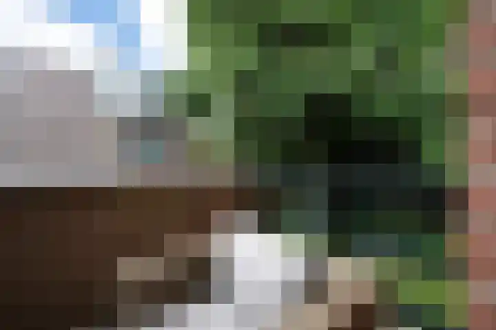 Perengaarde 2 Zoetermeer thumbnail 22