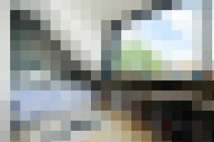 Perengaarde 2 Zoetermeer thumbnail 32