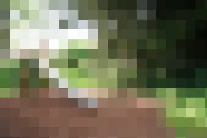 Perengaarde 2 Zoetermeer thumbnail 35