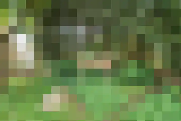 Perengaarde 2 Zoetermeer thumbnail 36