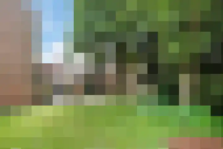 Perengaarde 2 Zoetermeer thumbnail 37