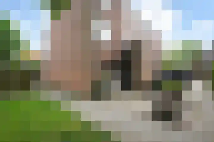Perengaarde 2 Zoetermeer thumbnail 5