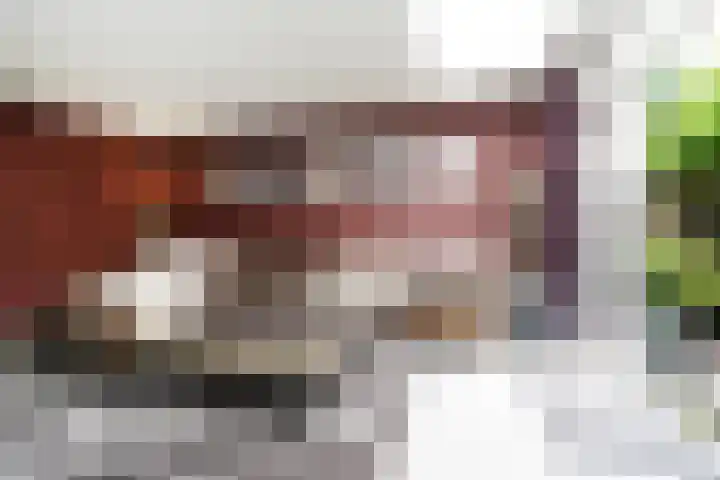Perengaarde 2 Zoetermeer thumbnail 8