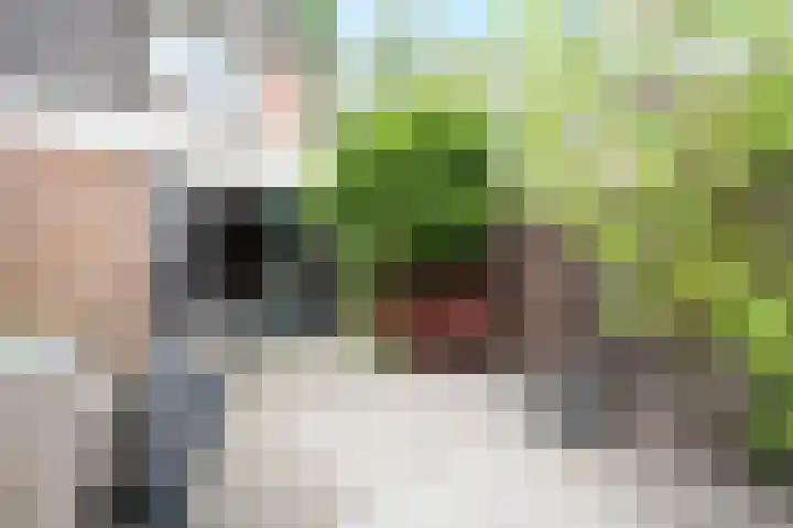 Perengaarde 2 Zoetermeer thumbnail 9
