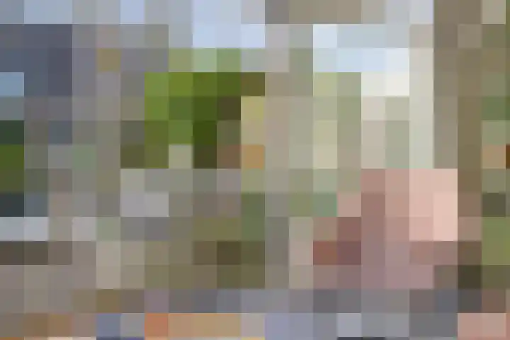 Perengaarde 3 Zoetermeer thumbnail 11