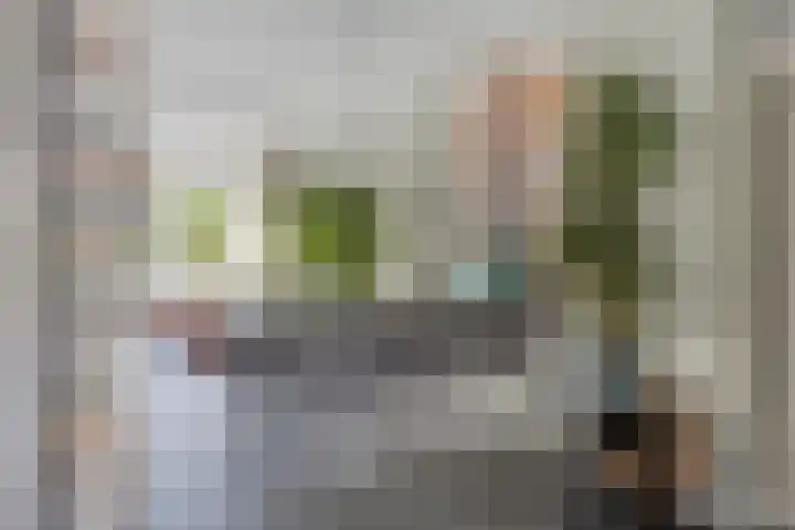 Perengaarde 3 Zoetermeer thumbnail 19