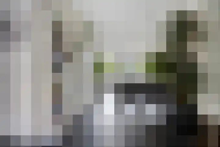 Perengaarde 3 Zoetermeer thumbnail 20