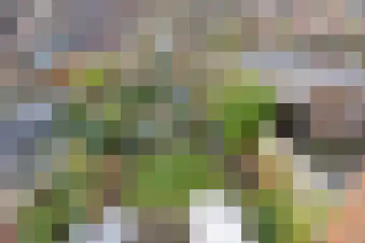 Perengaarde 3 Zoetermeer thumbnail 36