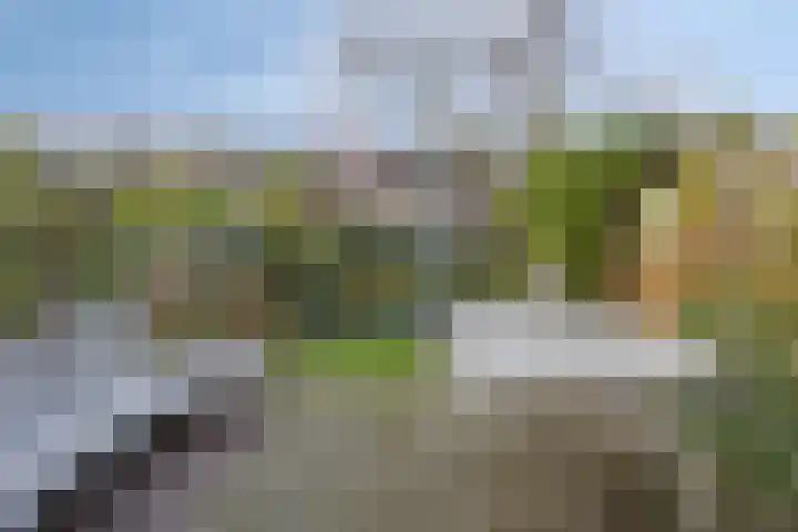 Perengaarde 3 Zoetermeer thumbnail 37