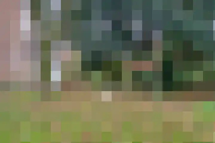 Perengaarde 3 Zoetermeer thumbnail 44