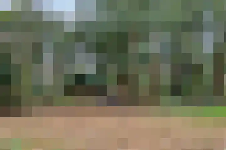 Perengaarde 3 Zoetermeer thumbnail 45