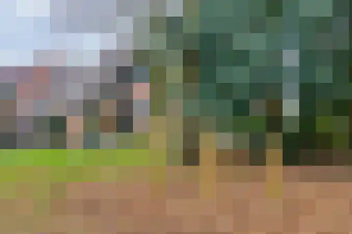 Perengaarde 3 Zoetermeer thumbnail 46