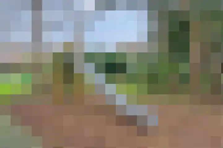 Perengaarde 3 Zoetermeer thumbnail 47