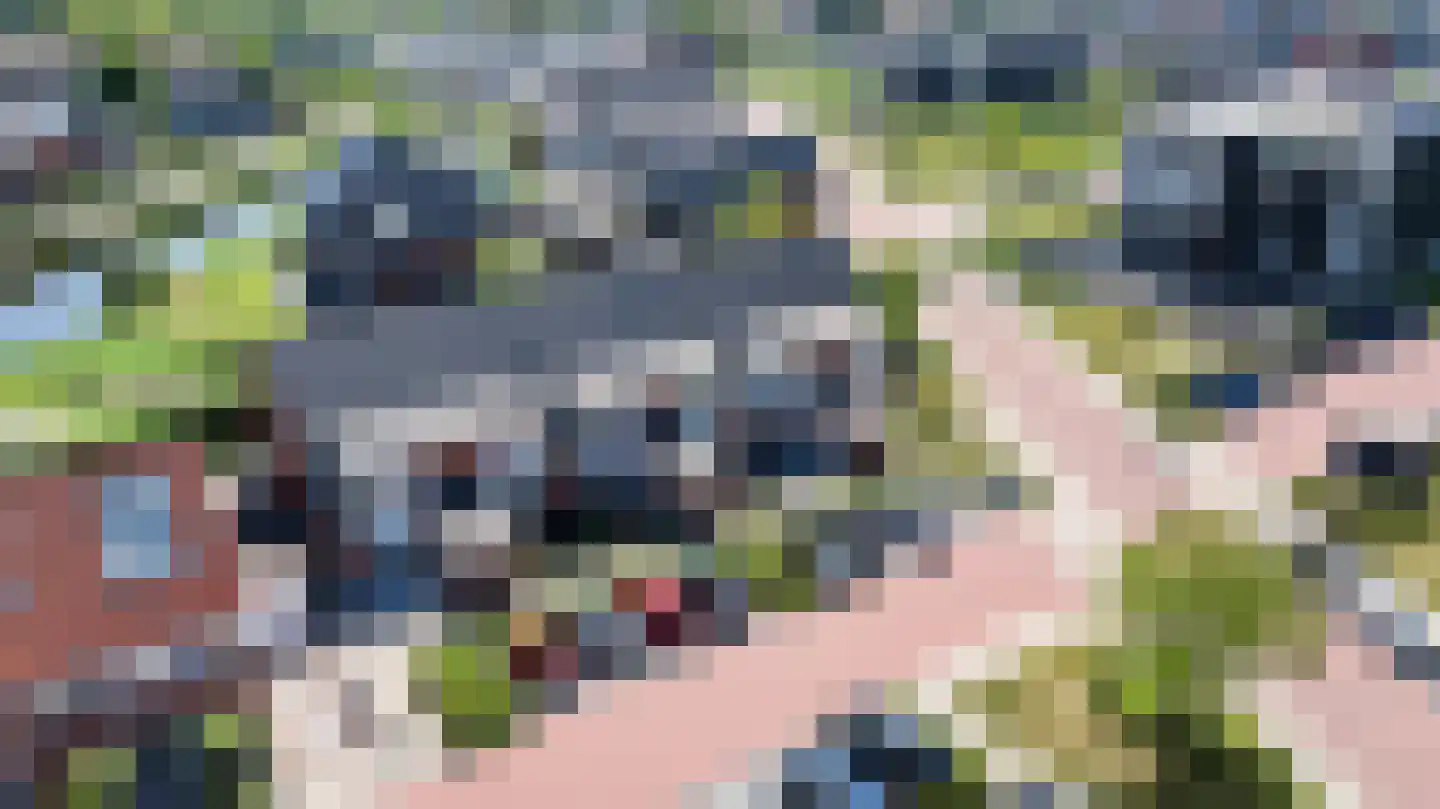 Perengaarde 32 Boskoop thumbnail 30