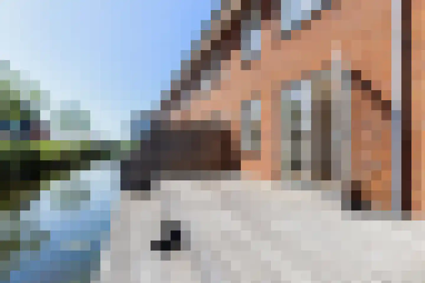 Perengaarde 32 Boskoop thumbnail 6