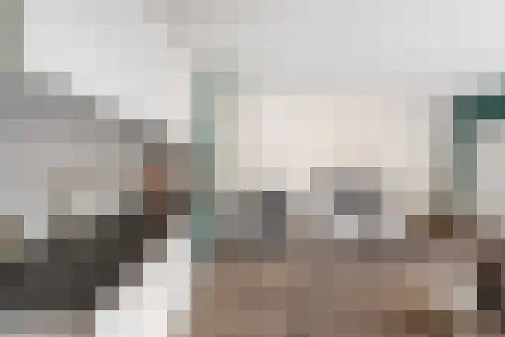 Perengaarde 43 Zoetermeer thumbnail 13