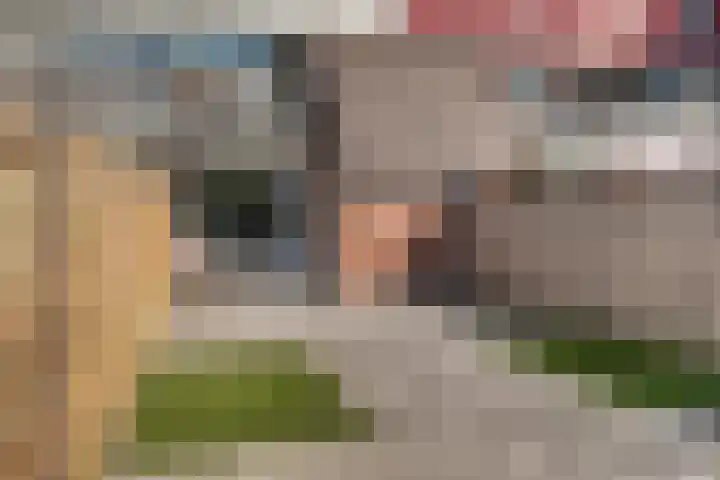 Perengaarde 43 Zoetermeer thumbnail 18