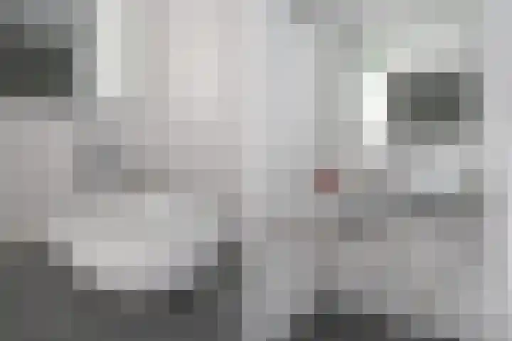 Perengaarde 43 Zoetermeer thumbnail 25