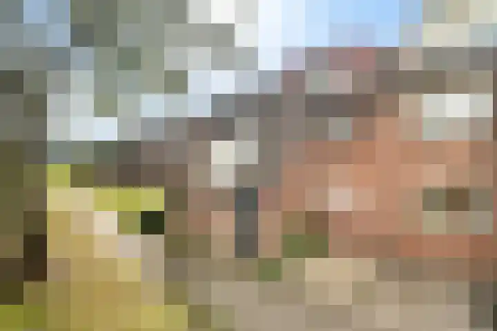 Perengaarde 43 Zoetermeer thumbnail 33