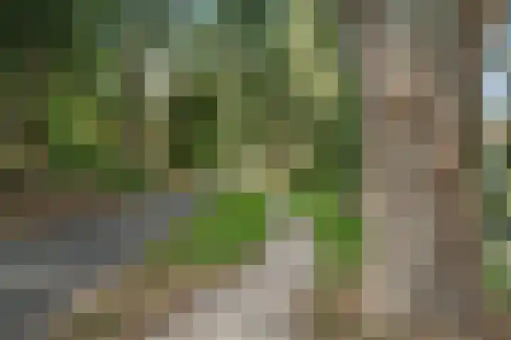 Perengaarde 43 Zoetermeer thumbnail 35