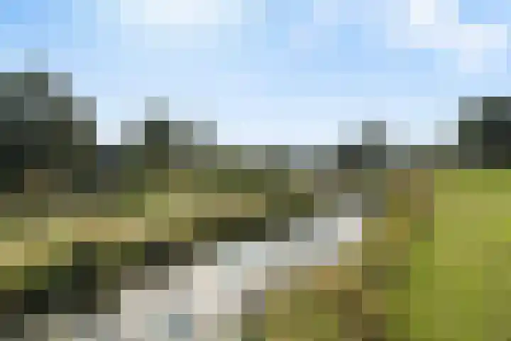 Perengaarde 43 Zoetermeer thumbnail 36