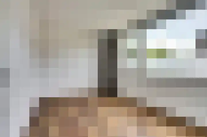 Perengaarde 52 Hendrik-Ido-Ambacht thumbnail 12
