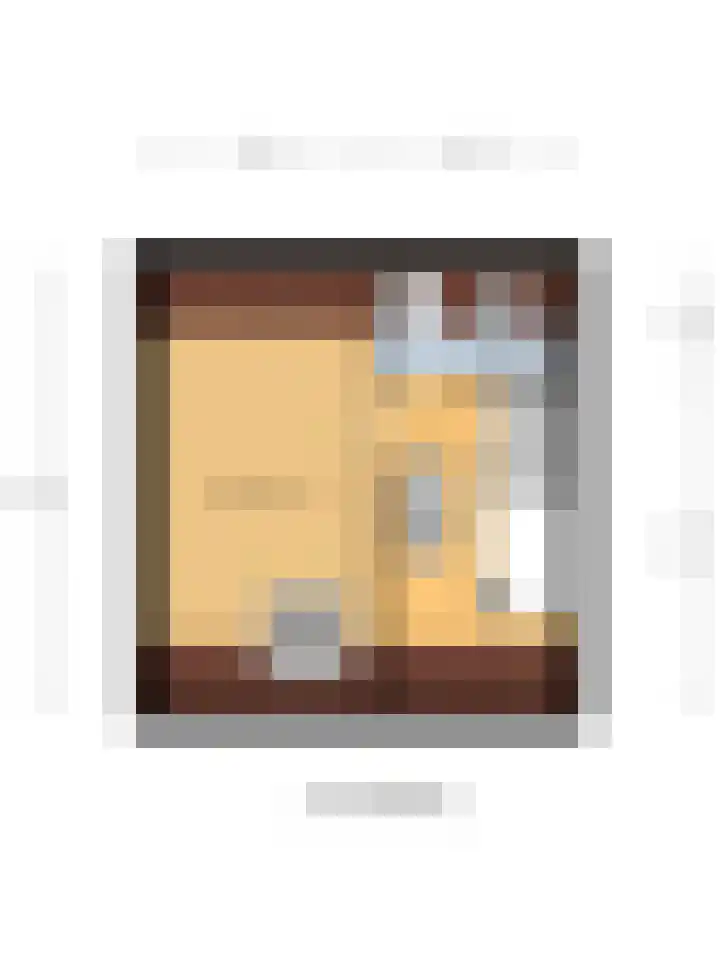 Perengaarde 52 Hendrik-Ido-Ambacht thumbnail 33