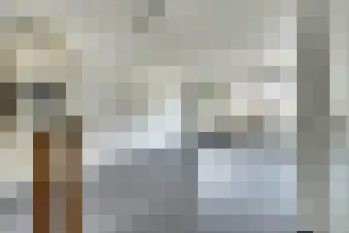 Perengaarde 52 Hendrik-Ido-Ambacht thumbnail 6