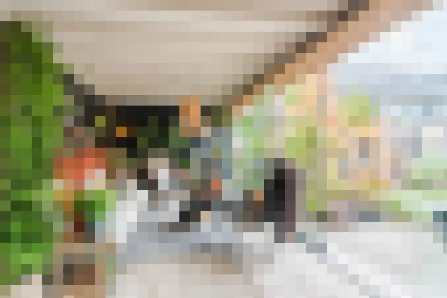 Perengaarde 68 Boskoop thumbnail 19