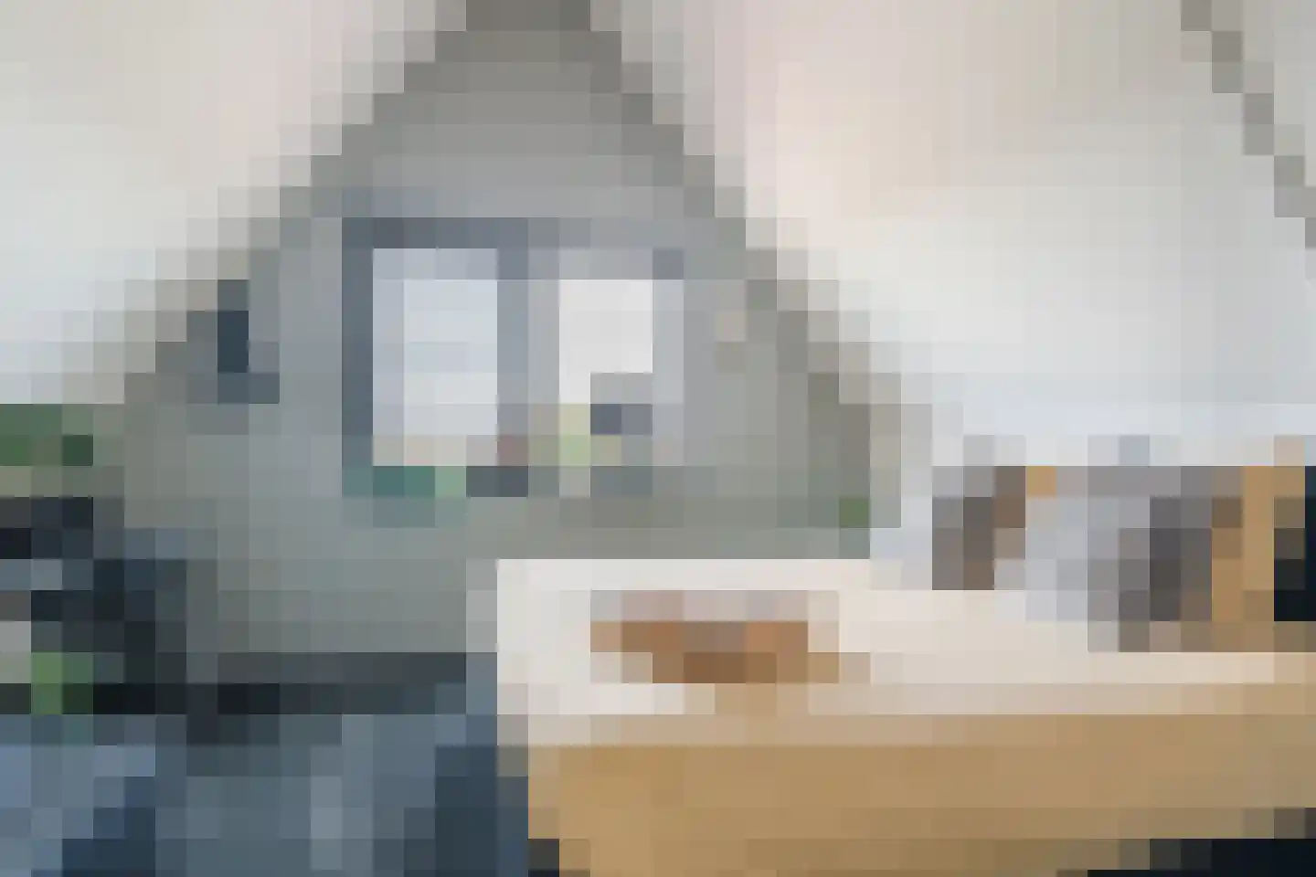 Perengaarde 68 Boskoop thumbnail 35