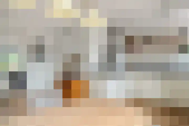 Perengaarde 74 Boskoop thumbnail 10