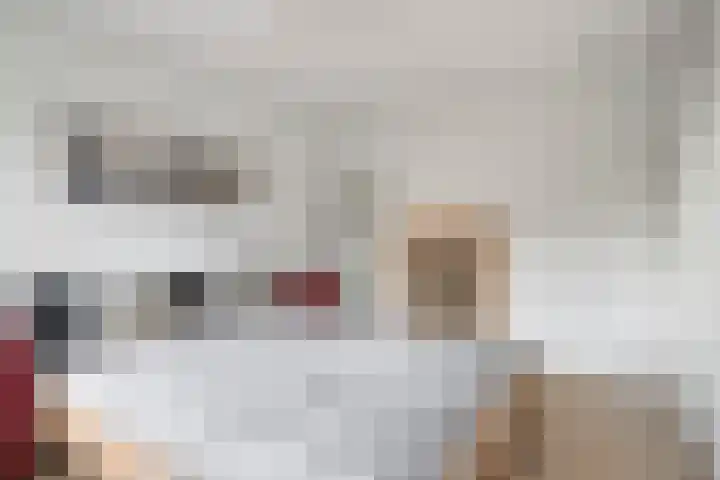 Perengaarde 74 Boskoop thumbnail 16